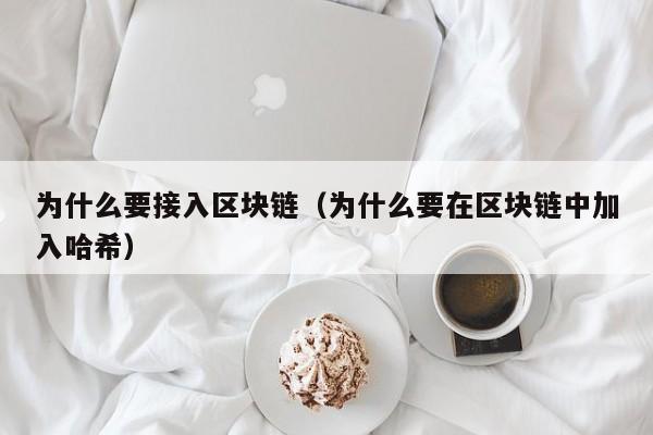 为什么要接入区块链(为什么要在区块链中加入哈希)